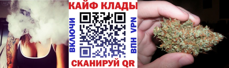 Виды наркотиков купить Выборг Конопля  Галлюциногенные грибы  Cocaine  Кетамин  Меф  ГАШ 