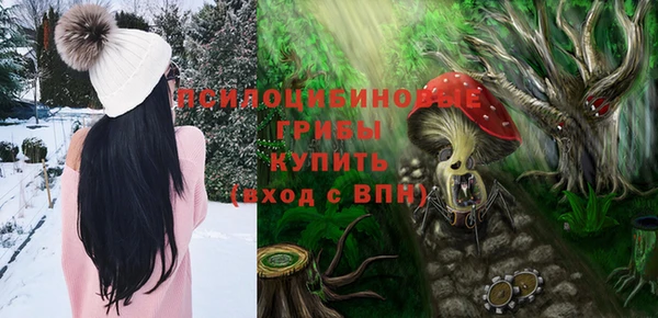 амф Бронницы