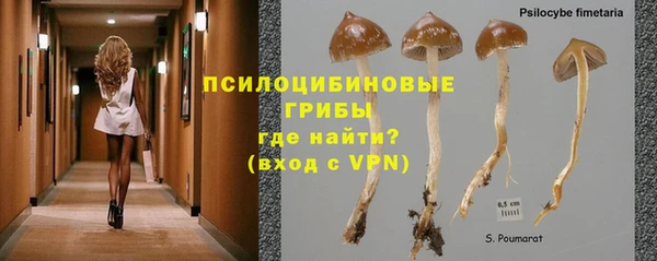 Альфа ПВП Строитель