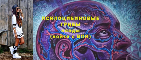 гашик Бугульма