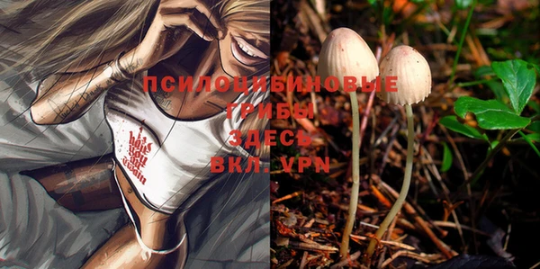 амф Бронницы