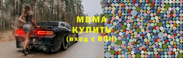 PSILOCYBIN Бородино