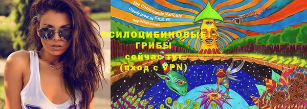 хмурый Струнино