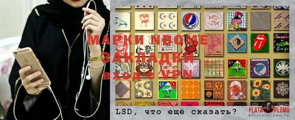 PSILOCYBIN Бородино