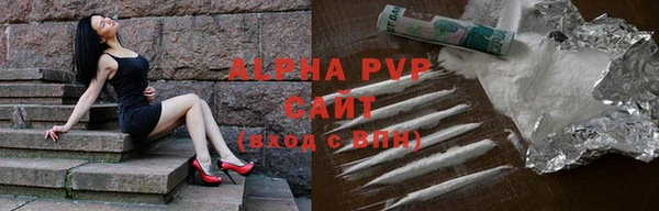PSILOCYBIN Бородино