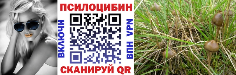 Галлюциногенные грибы мицелий  площадка состав  Выборг 