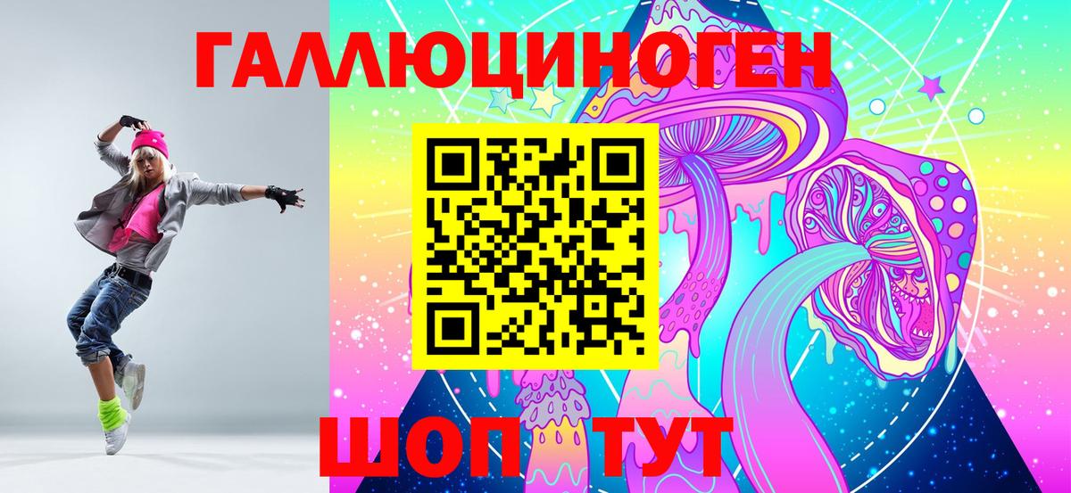 Выборг  Галлюциногенные грибы GOLDEN TEACHER  Вход с VPN  продажа наркотиков  Галлюциногенные грибы Psilocybe 