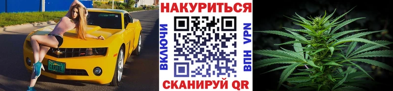 сайты даркнета Telegram  Выборг  МАРИХУАНА Ganja 